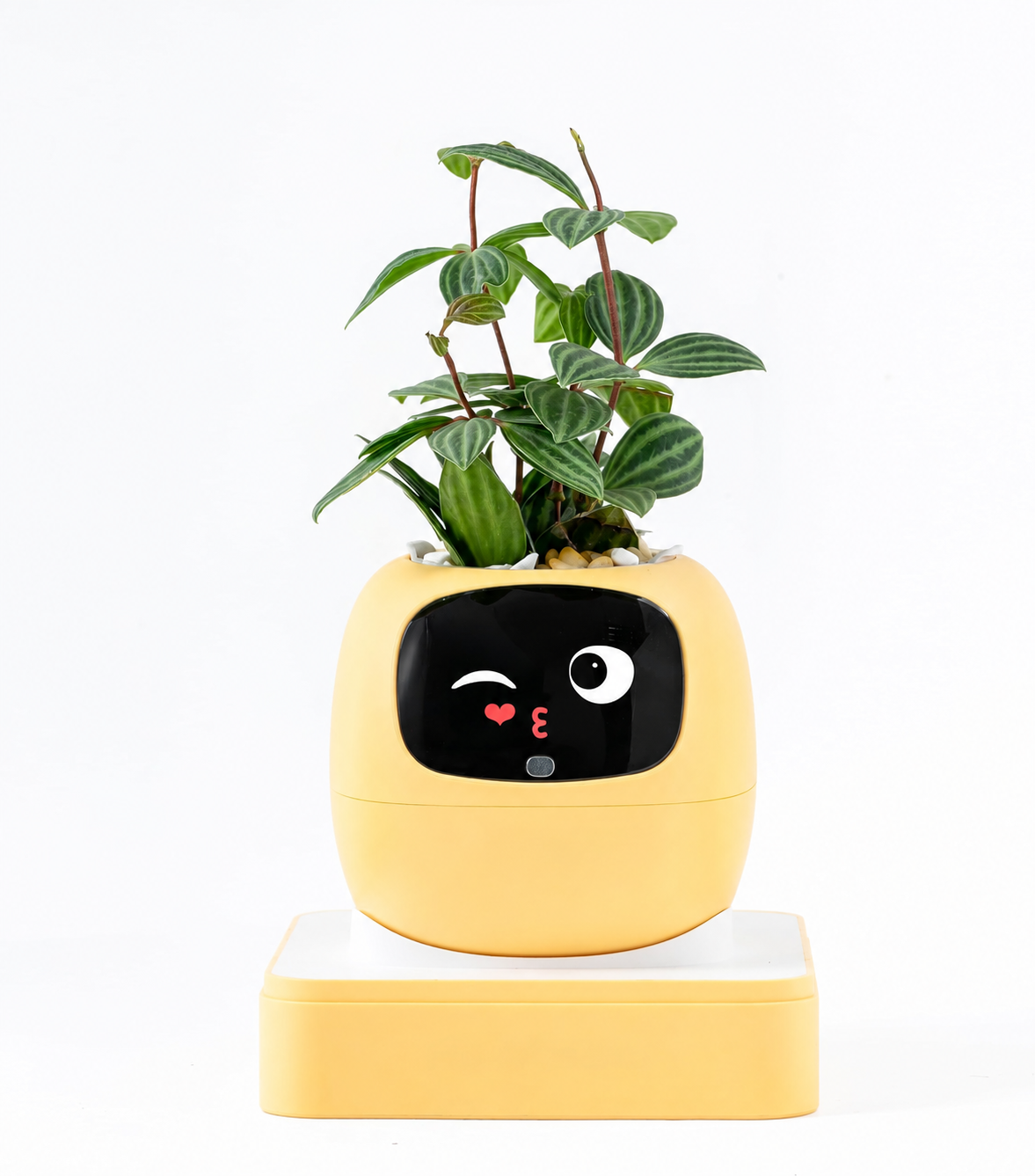 Lemon-coloured smart planter placed on a study table