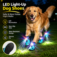 Light-up dog paw boots with secure fit for outdoor activities