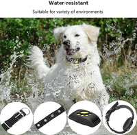 Lightweight pet collar accessory for dogs and cats outdoor use