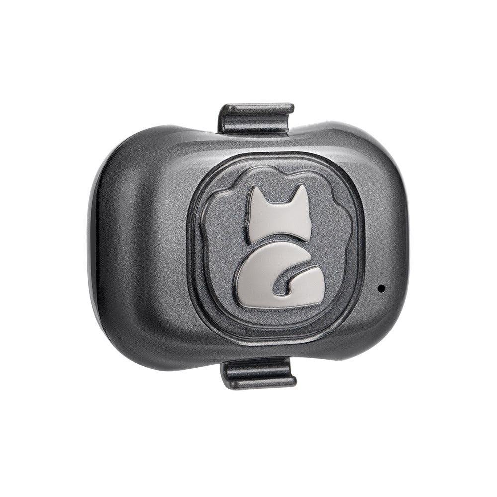 Lightweight pet collar accessory for daily pet use