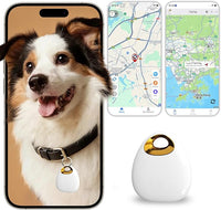 Lightweight pet location tag with app-based view