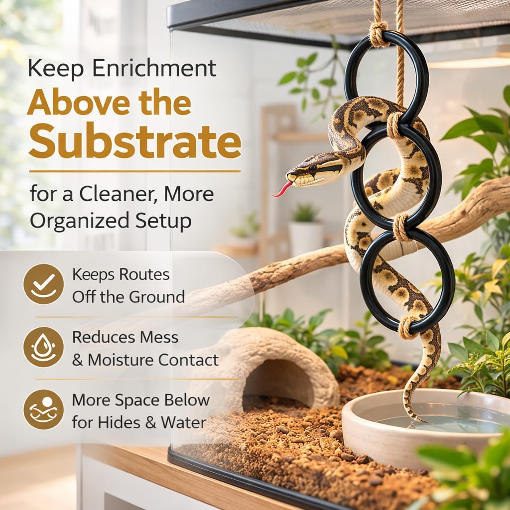 Lizard and Snake Enrichment Accessory for Terrarium Activity