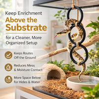 Lizard and Snake Enrichment Accessory for Terrarium Activity