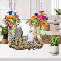 Hanging Grass Swing Toy for Lovebirds, Budgies and Small Birds
