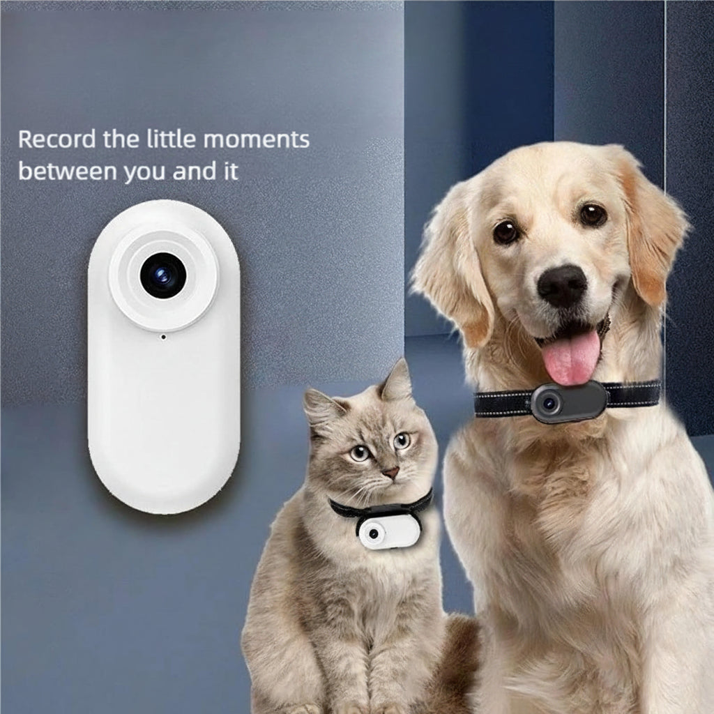 Magnetic wearable pet device for outdoor activities and travel
