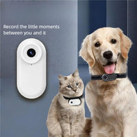 Magnetic wearable pet device for outdoor activities and travel
