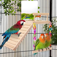 Bird Toy for Cockatiels, Lovebirds, Budgies, and Parrotlets – Perch and Swing Ladder