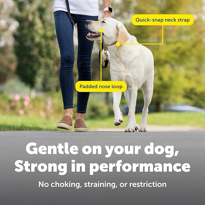 Dog walking headcollar for medium-sized dogs