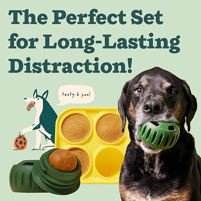 Treat tray dog activity toy for medium and large dogs