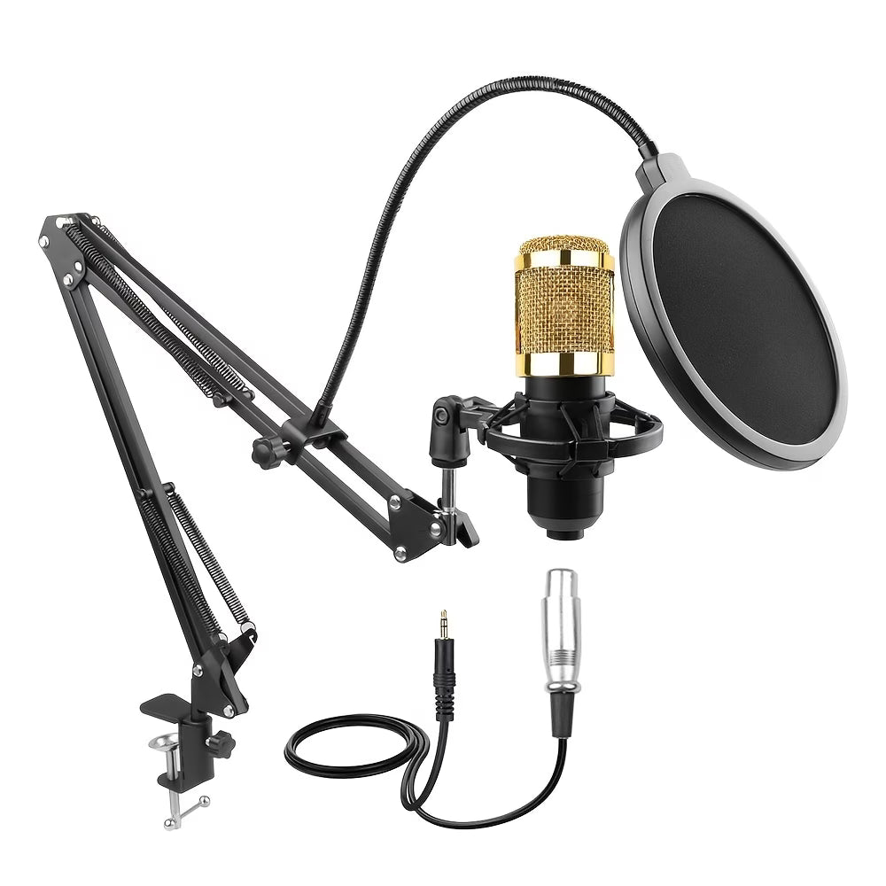 condenser microphone kit with stand and pop filter