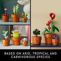 miniature plant building set for creative home decoration