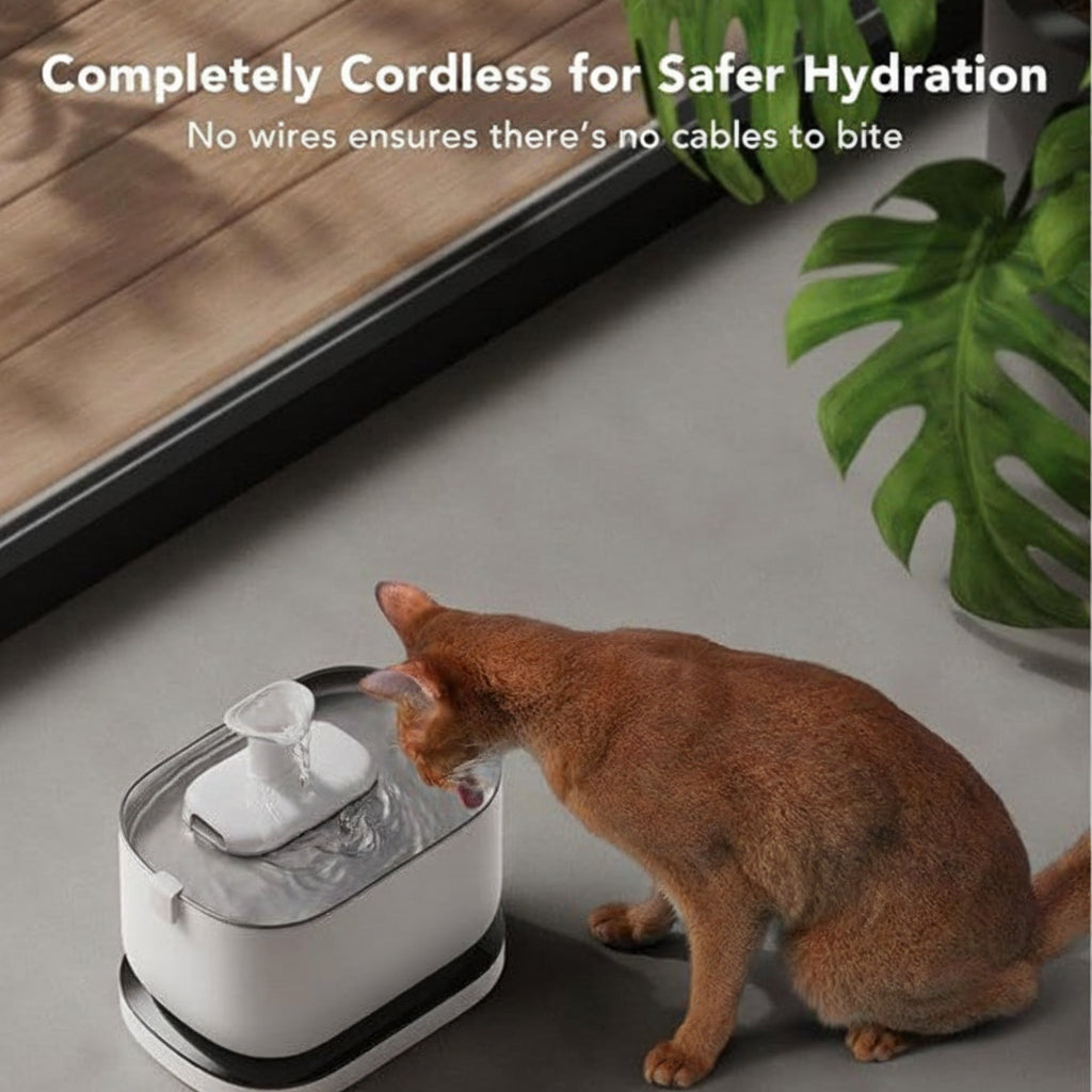Modern Cat Water Dispenser With Rechargeable Wireless Design