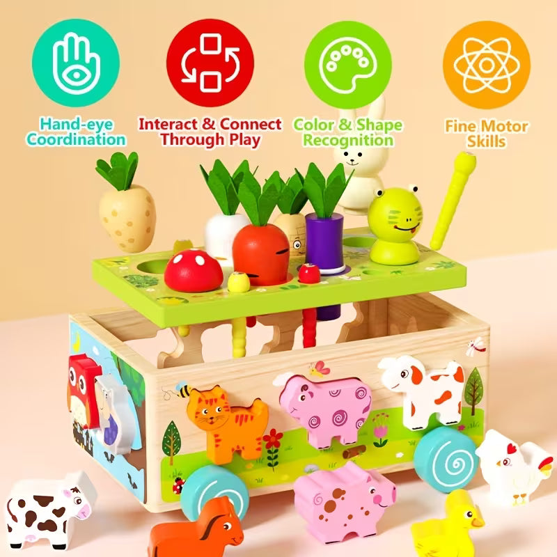 Montessori gift for boys and girls early learning play