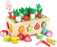 Montessori wooden shape sorting toy toddler learning toy for 1-3 year old kids