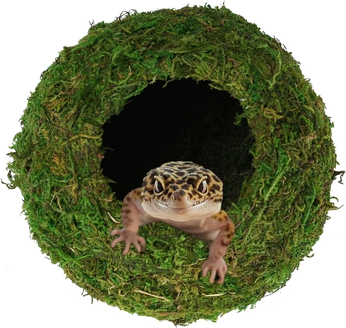 Artificial Mossy Reptile Cave Hide 4 Inch Woodland Green Decor