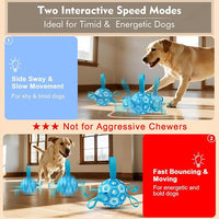 Motion-style dog ball toy for regular pet activity
