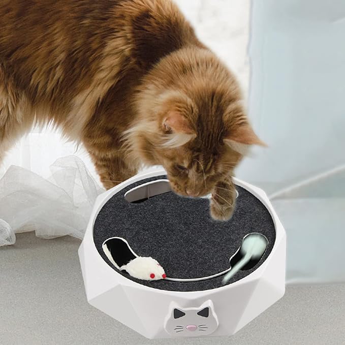Moving Mouse Cat Toy with Rotating Interactive Design
