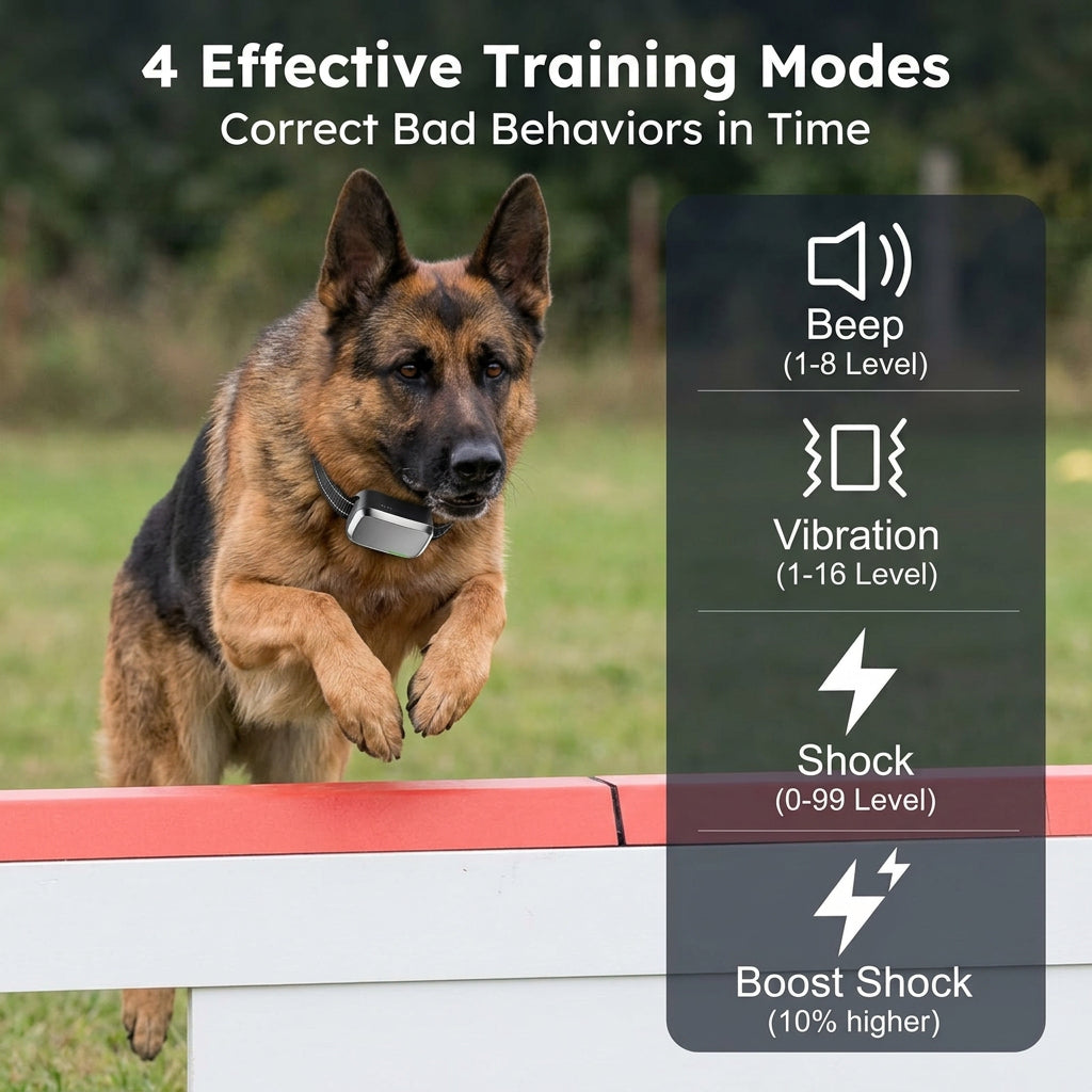 Multi-dog training device suitable for small medium and large dogs