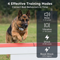 Multi-dog training device suitable for small medium and large dogs