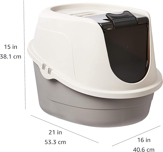 Multicolor litter box for indoor cat area