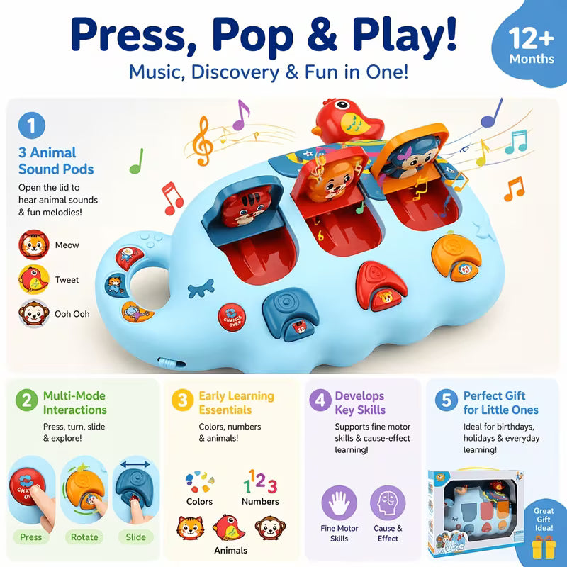 Musical cause and effect baby toy for sensory learning play