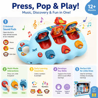Musical cause and effect baby toy for sensory learning play