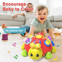 Musical ladybug crawling toy with lights and sounds