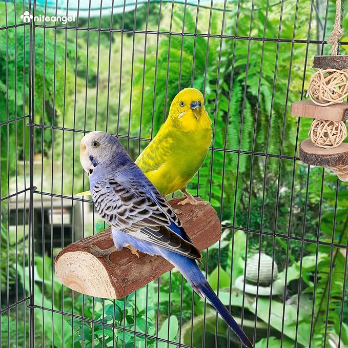 natural bird perch stand for parrots budgies and cockatiels