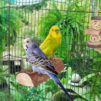 natural bird perch stand for parrots budgies and cockatiels
