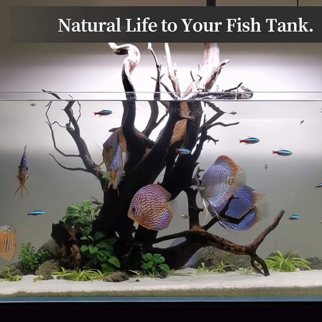 Natural Driftwood for Aquarium and Fish Tank Decoration