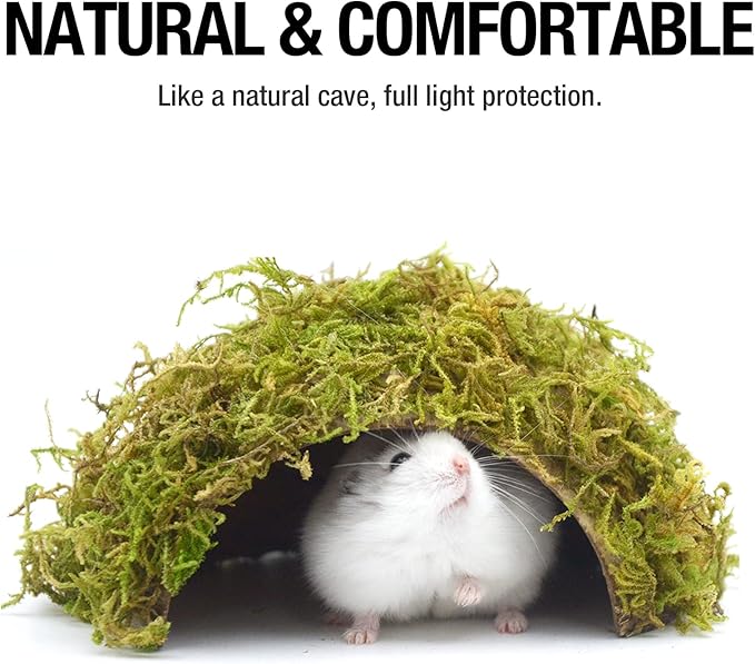 Natural Moss Pet House for Syrian Hamsters and Small Animals