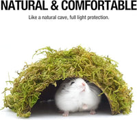 Natural Moss Pet House for Syrian Hamsters and Small Animals