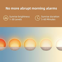 Dimmable Digital Clock With Bedside Light