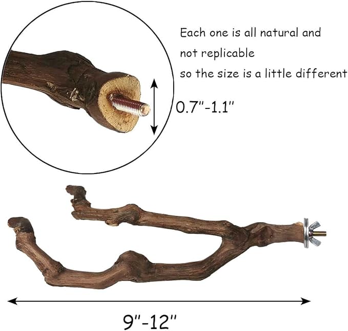 Branch-style natural wood bird perches for cage setup