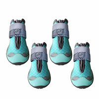 Light-up dog shoes designed for nighttime and low-light walks