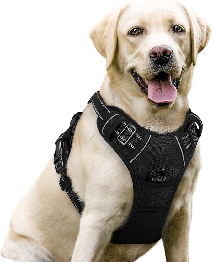 No Pull Dog Harness with 2 leash clips, adjustable soft padded design in black for large dogs