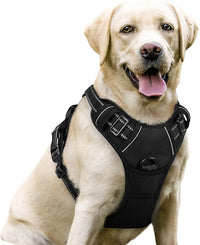 No Pull Dog Harness with 2 leash clips, adjustable soft padded design in black for large dogs