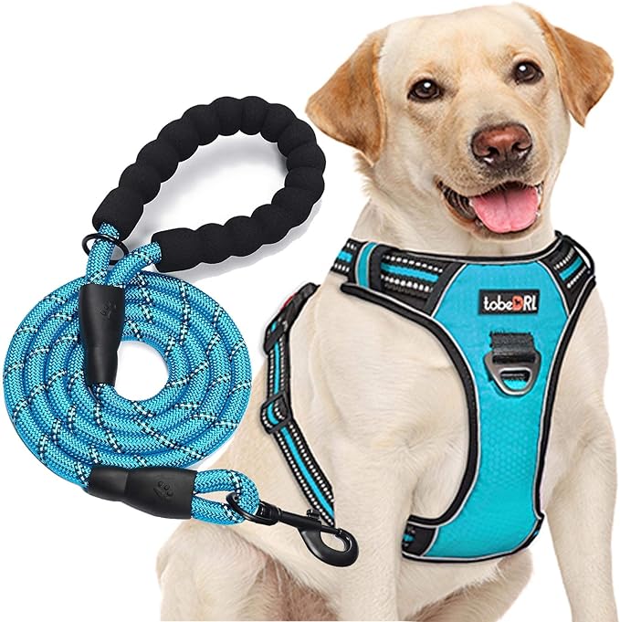 No Pull Dog Harness Adjustable with Reflective Oxford Material for Medium and Large Dogs