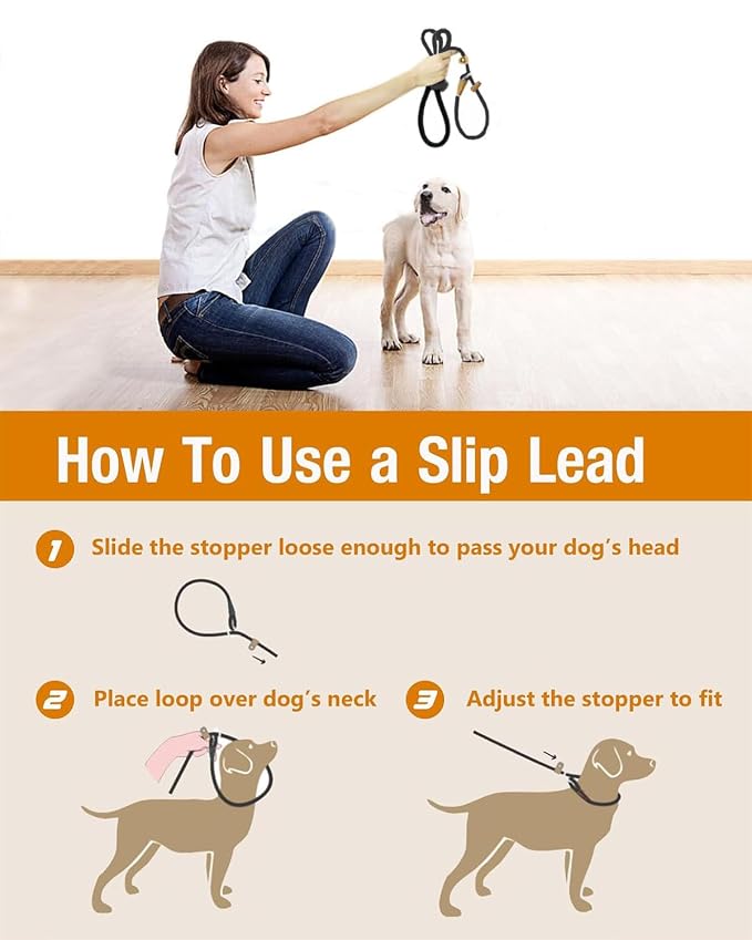 No-pull dog slip lead rope for safe and controlled walks