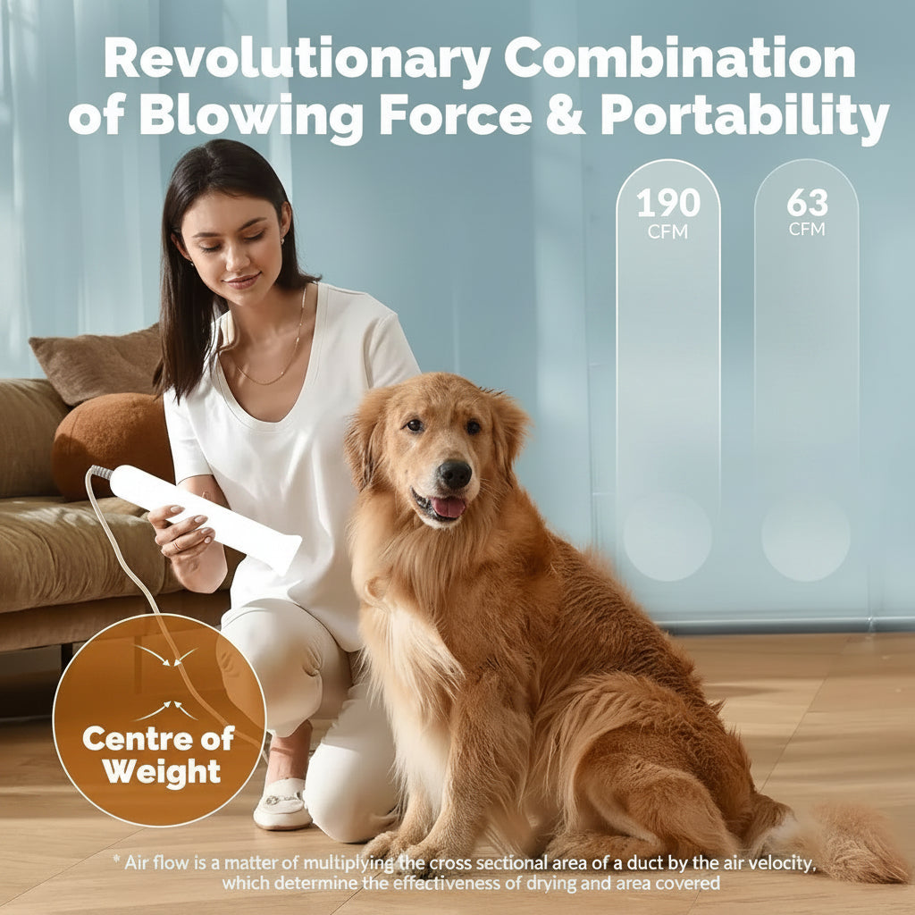 Pet Drying Box With Noise Reduction Structure For Comfortable Use