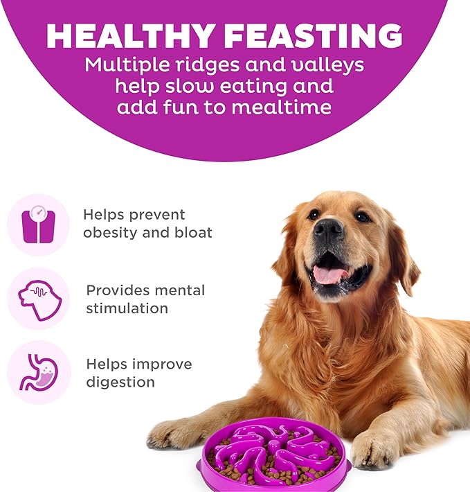 Non slip dog bowl for daily feeding