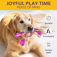 Nylon dog chew toys for supervised chewing and interactive play