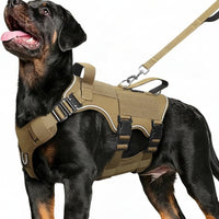 Nylon Dog Harness With Strong Buckles And Adjustable Straps