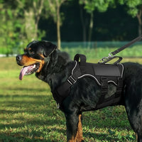 Nylon Dog Harness With Strong Buckles And Adjustable Straps
