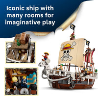 One Piece building blocks set with Straw Hat crew and detailed pirate ship model