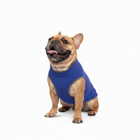 Orange Cloth Pet Accessory With Lightweight Comfortable Material