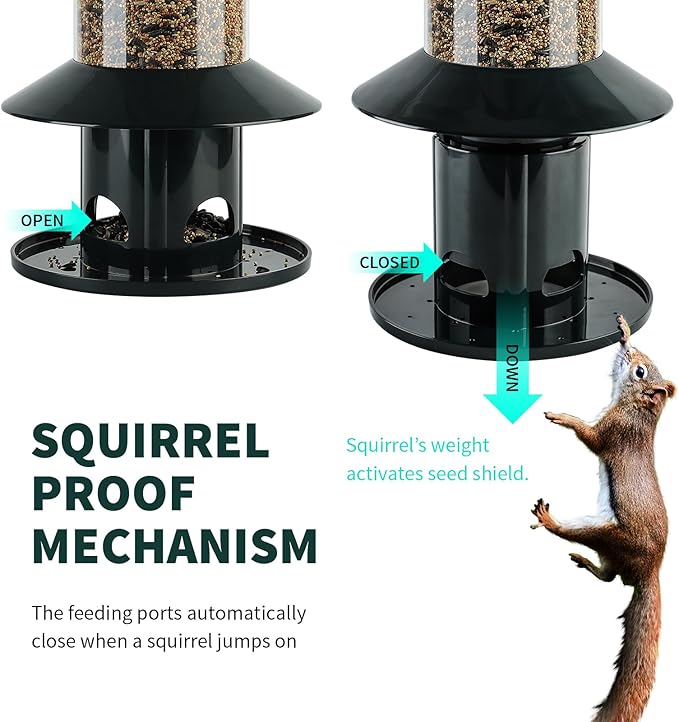 Outdoor bird feeding tray for small birds, suitable for garden, patio, yard, and balcony use.