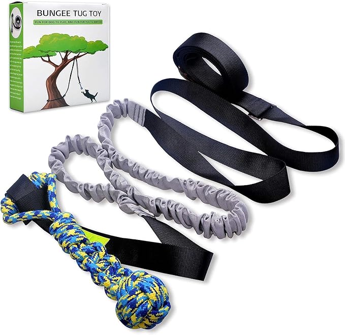 Outdoor bungee tug toy with chew rope for interactive dog exercise play.