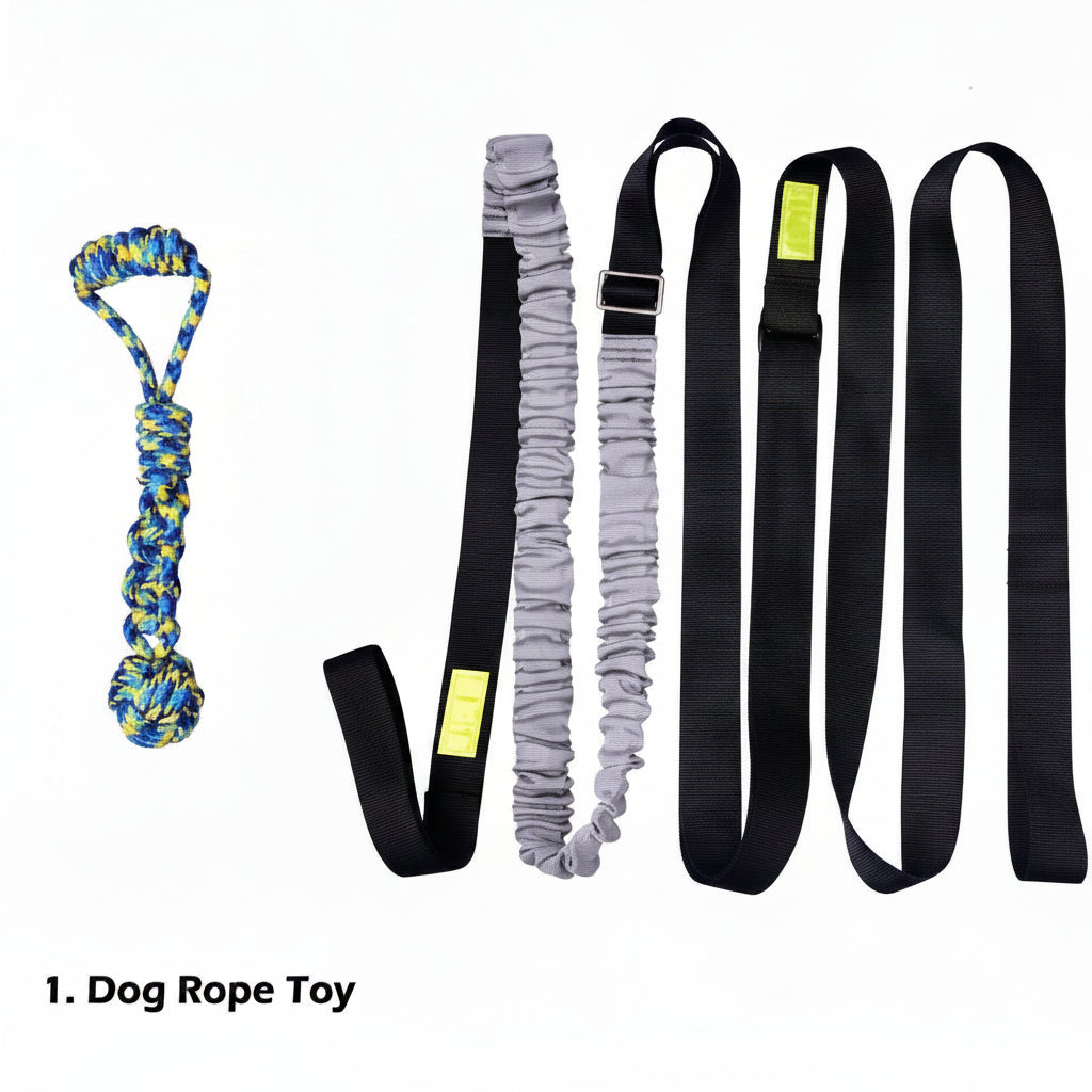 Outdoor dog rope toy with elastic bungee cord for fetch and tug games
