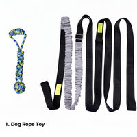 Outdoor dog rope toy with elastic bungee cord for fetch and tug games
